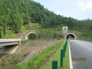 高速公路隧道渗水