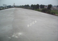 屋面防水用改性MD聚合物防水涂料