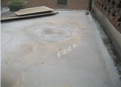 用改性MD聚合物防水涂料进行屋面防水